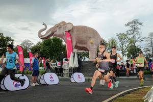 BIB: 
                            <button type="button" onclick="openModal(26528263)" class="btn btn-primary btn-sm float-right btn-popup" data-toggle="modal" data-target=".modal-high-quality">
                        <i class="fas fa-shopping-cart"></i> Add to Cart
                    </button>
                                            <button type="button" onclick="isThisMe(26528263, true)" class="btn btn-success btn-sm float-right btn-popup btn-isme hidden" data-toggle="tooltip" data-placement="bottom" title="นี่คือรูปของคุณใช่ไหม คลิกที่นี่เพื่อเอาเข้าอัลบั้ม">
                        <i class="fas fa-plus"></i> Add to album
                    </button>
                    <button type="button" onclick="isThisMe(26528263, false)" class="btn btn-warning btn-sm float-right btn-popup btn-isnotme hidden">
                        <i class="fas fa-ban"></i> Remove from album
                    </button>